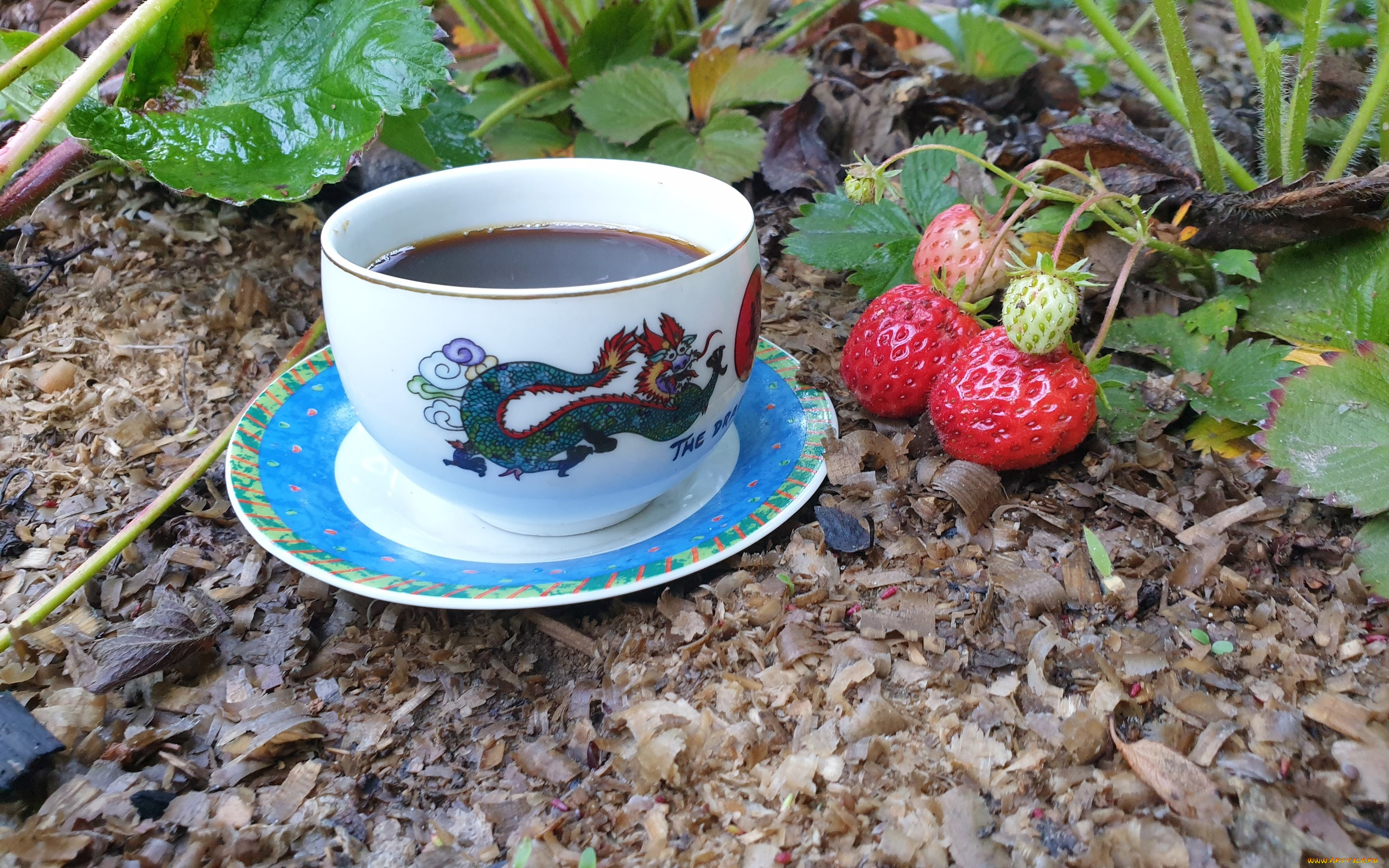 ���, ����,  �������� ����, ������, ��������, �����, ������